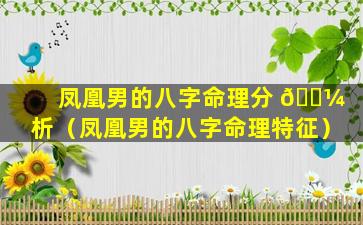 凤凰男的八字命理分 🌼 析（凤凰男的八字命理特征）